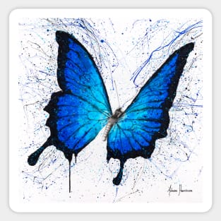 Tropics of Blue Butterfly Sticker